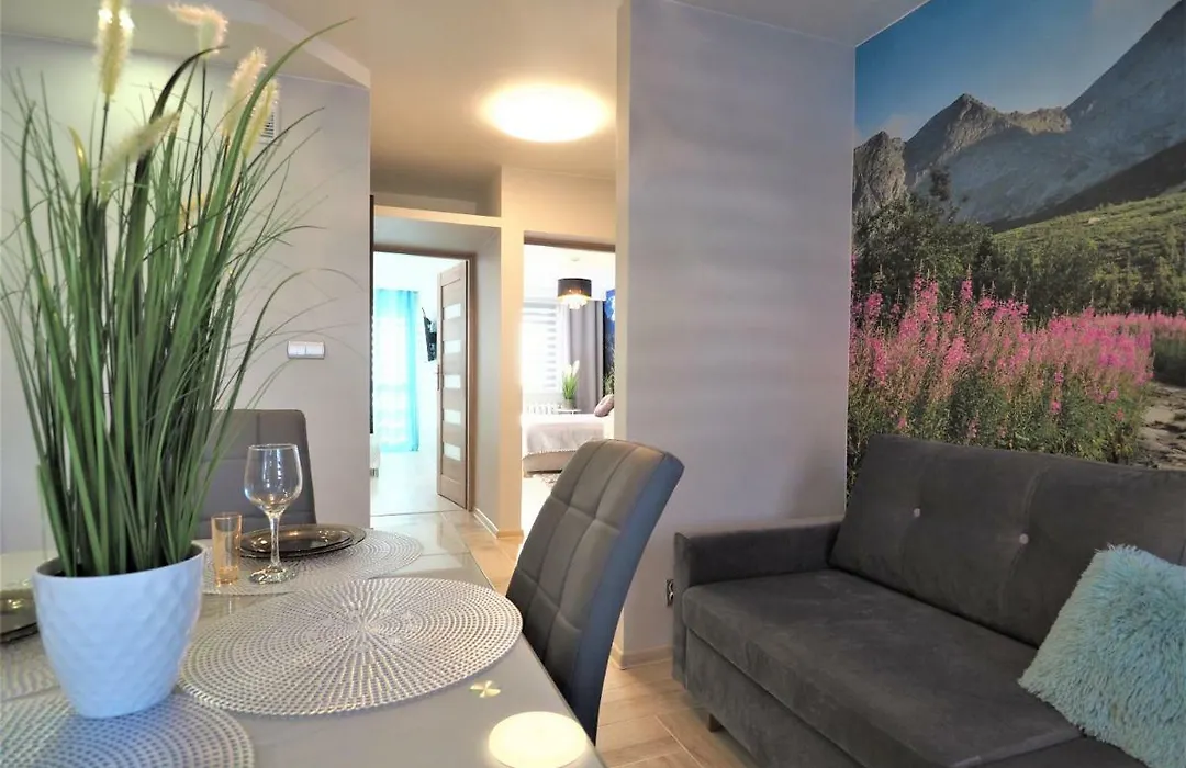 Vip Apartamenty Kasprusiowy Zakatek-1